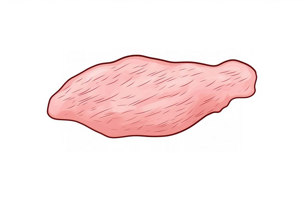 Raw chicken drawing meat biology.