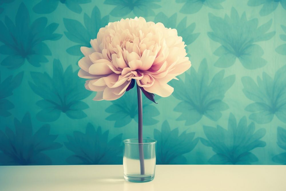 Cute flower wallpaper teal theme plant vase inflorescence.