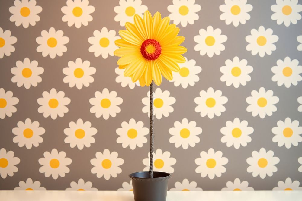 Cute flower wallpaper yellow theme plant petal daisy.