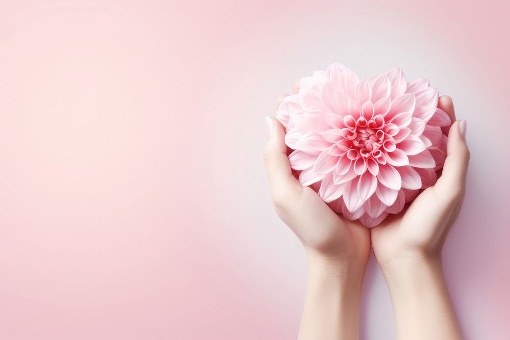 Hope Bloom flower dahlia petal. AI generated Image by rawpixel.