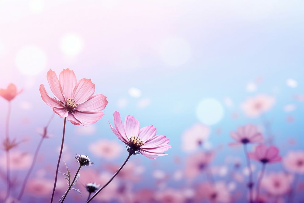 Hope Bloom backgrounds outdoors blossom. AI generated Image by rawpixel.