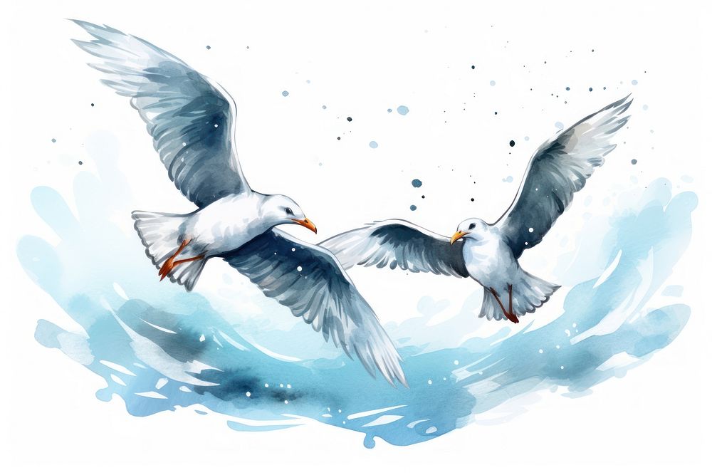 Watercolor seagulls flying drawing animal.