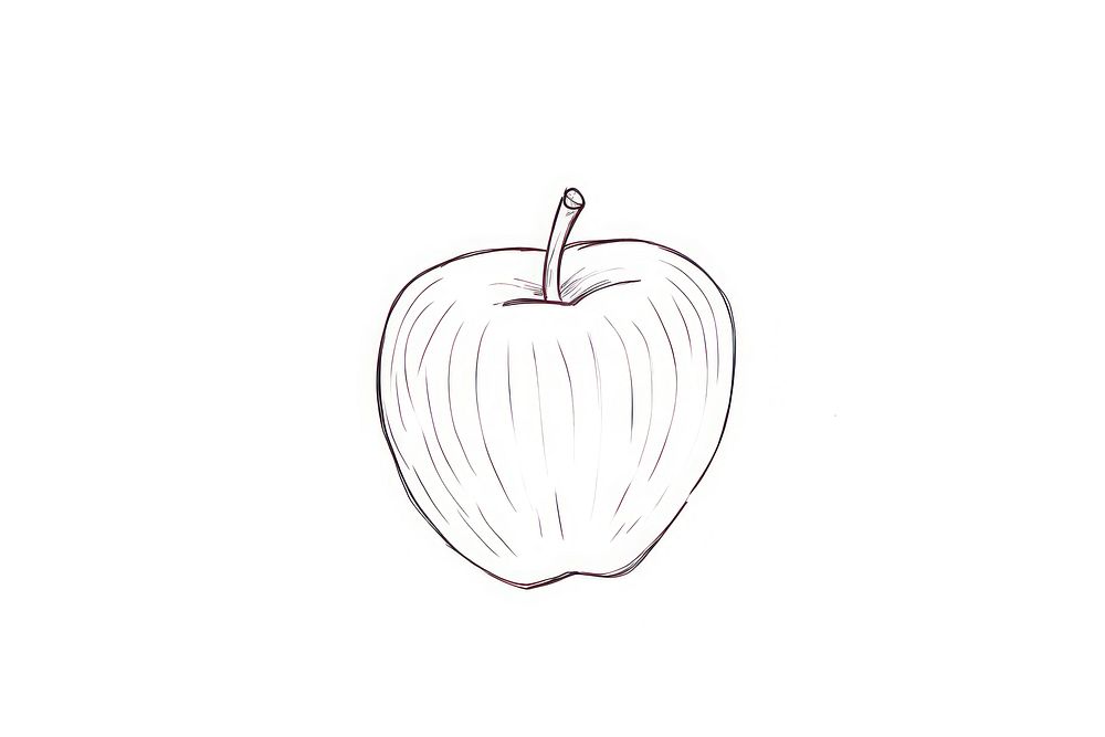 Apple drawing sketch plant.