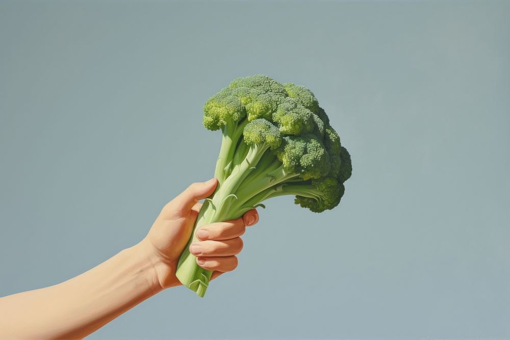 Hand holding broccoli vegetable plant food.