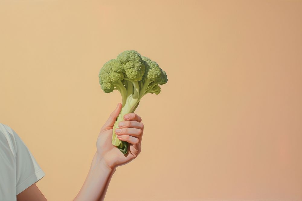 Hand holding broccoli vegetable plant food.