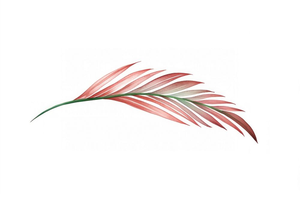 Palm leaf nature plant red.