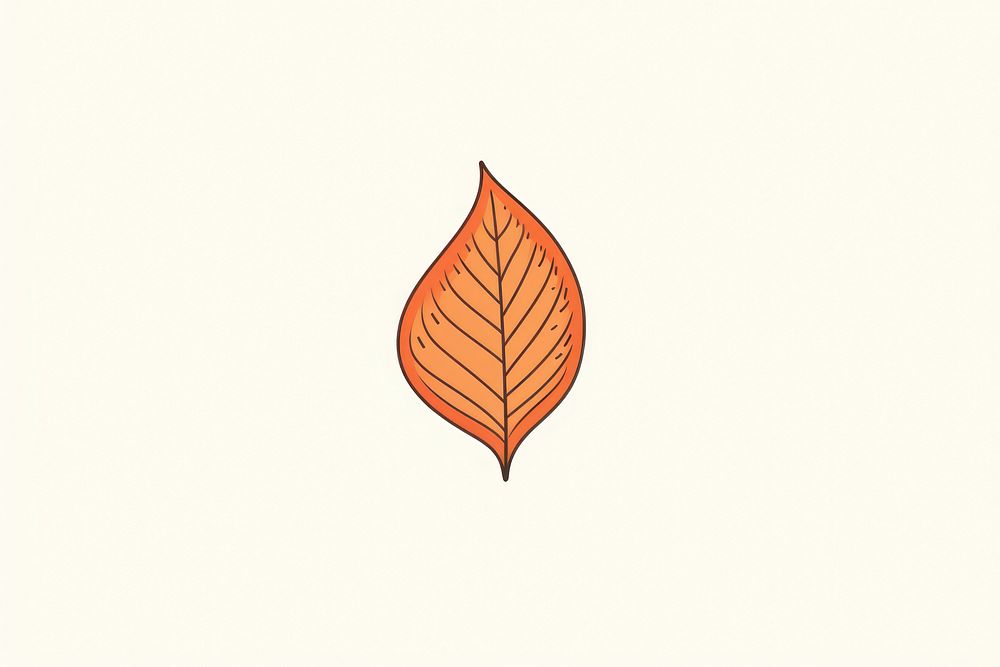 Autumn leaves icon drawing texture plant.