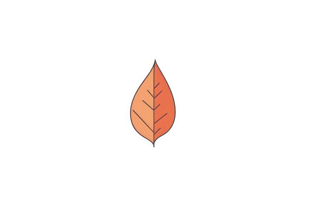Autumn leaves icon shape plant leaf.