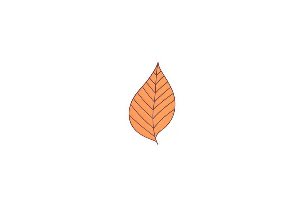 Autumn leaves icon texture plant leaf.