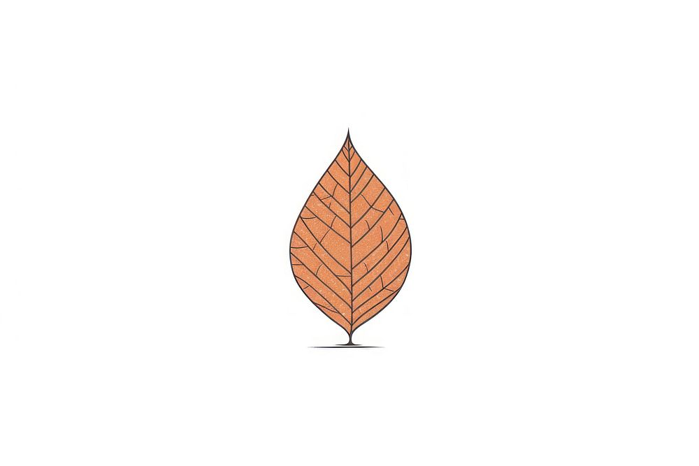 An Autumn leaves icon texture plant leaf.