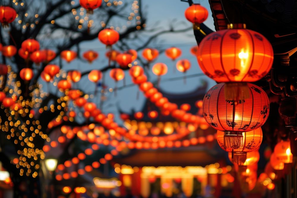 Chinese New Year festival lantern chinese new year.