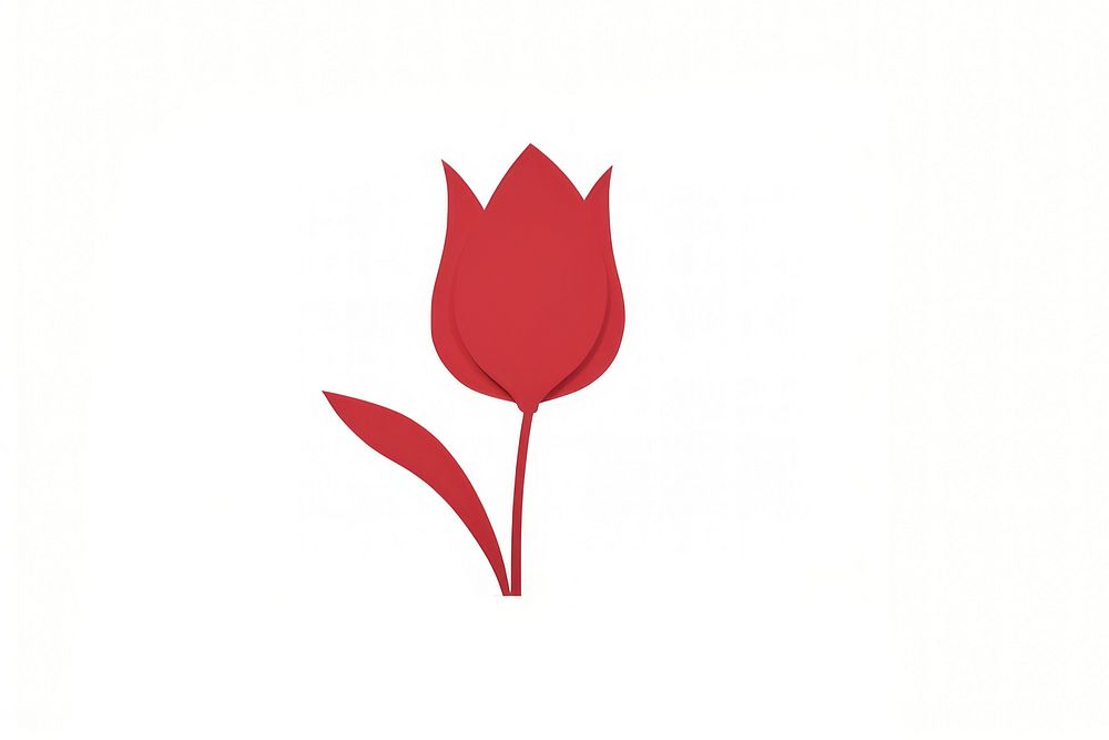 Tulip flower petal plant cartoon.