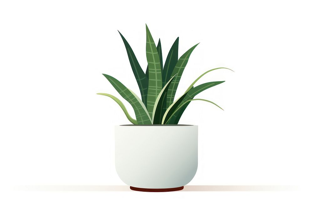 Plant leaf vase white background.