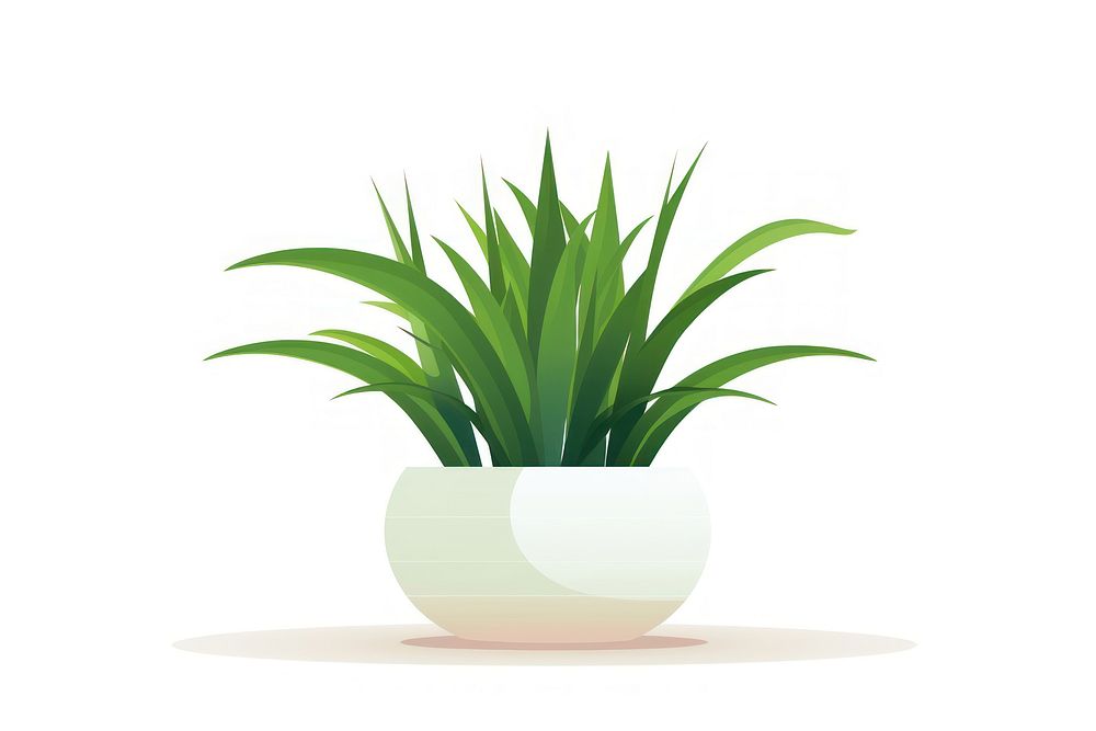 Plant leaf vase white background.