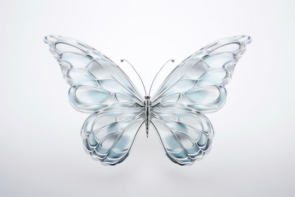 Butterfly side view transparent animal glass.