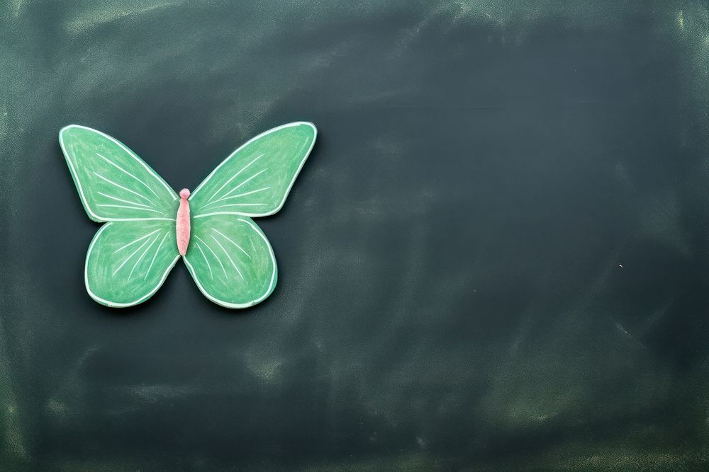 Butterfly green blackboard insect.