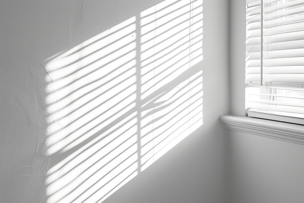 Blind window curtain blinds shadow.