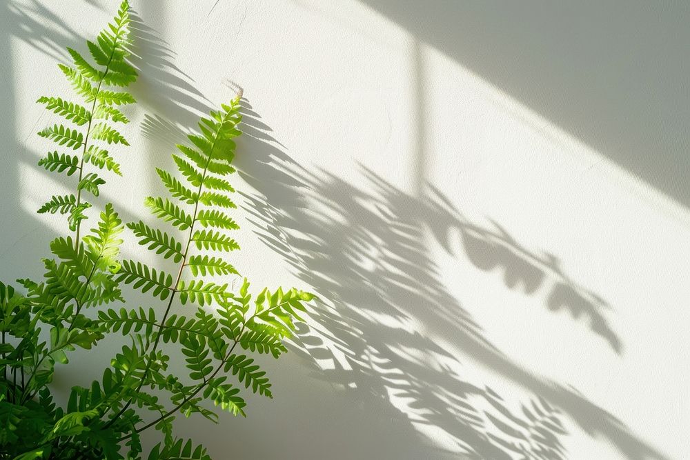 Fern leaves wall architecture nature.