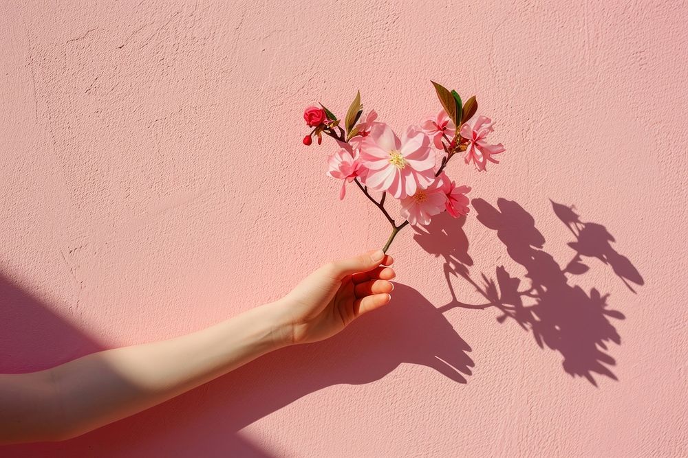 Hand holding flower wall blossom nature.