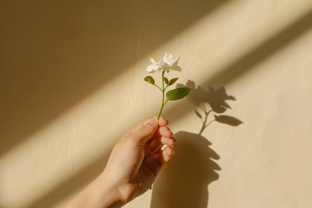 Hand holding flower nature finger shadow.