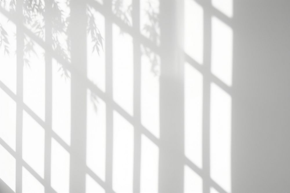 Window white backgrounds shadow.
