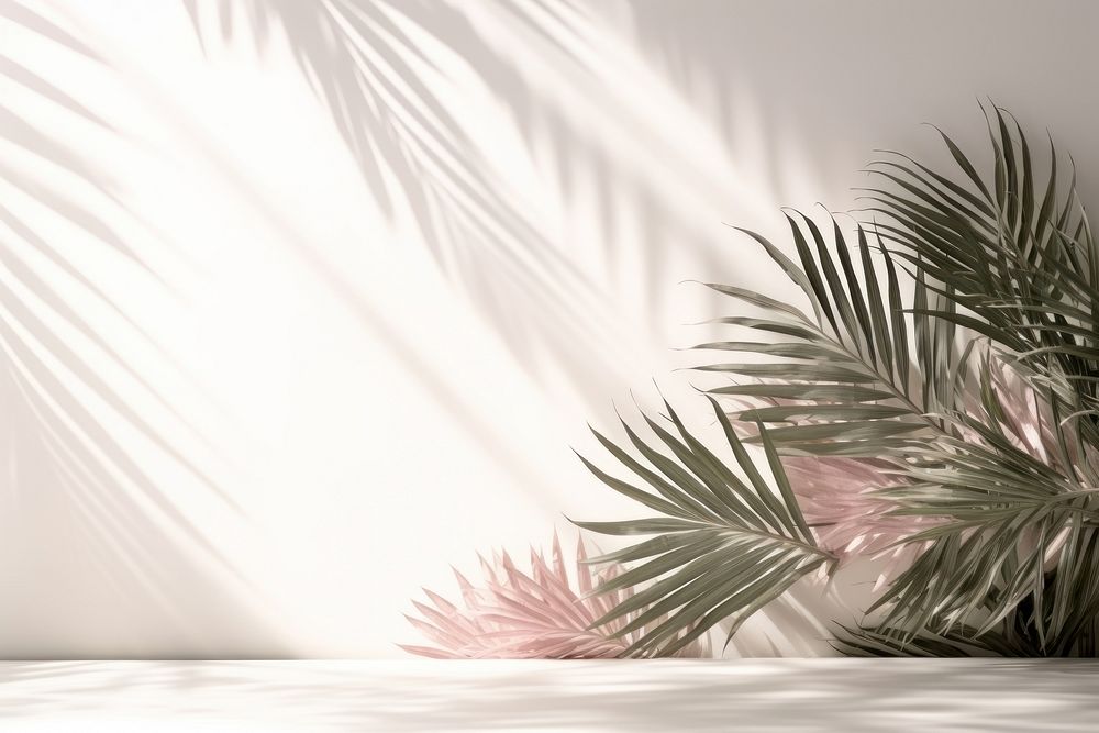 A white wall with green palm leaves and shadows nature plant leaf.