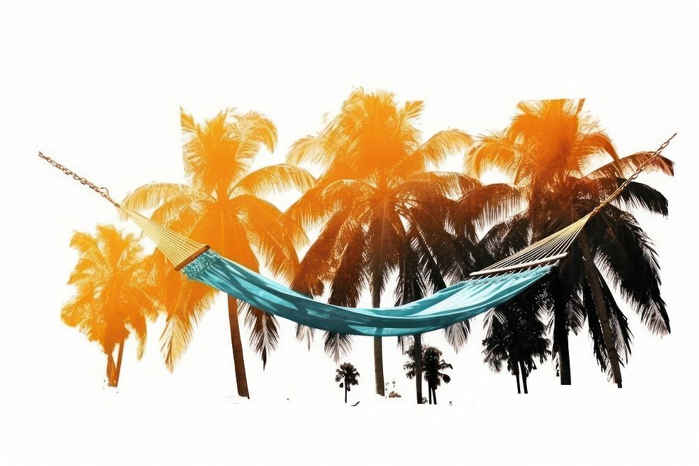 Tropical tree hammock white background silhouette.