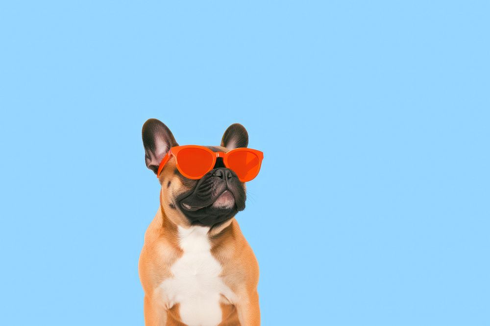 french bulldog wearing sunglasses blue | Free Photo Illustration - rawpixel