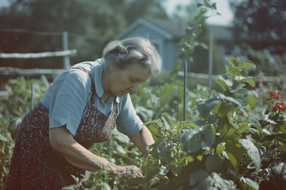 Woman doing gardening outdoors adult agriculture.