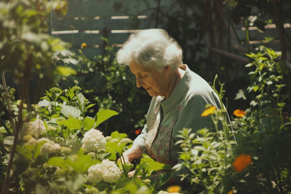 Woman doing gardening outdoors nature adult.