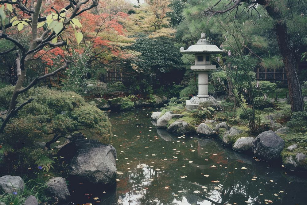 Japanese garden outdoors nature autumn.