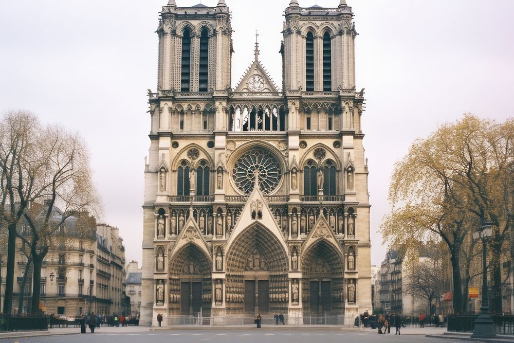Notre-dame cathedral architecture building tower.