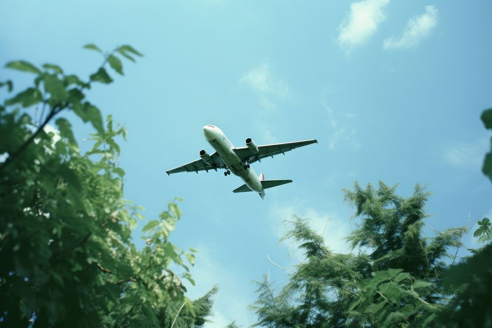 Plane flying airplane aircraft.