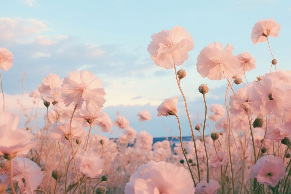 Blue flowers sky landscape outdoors.