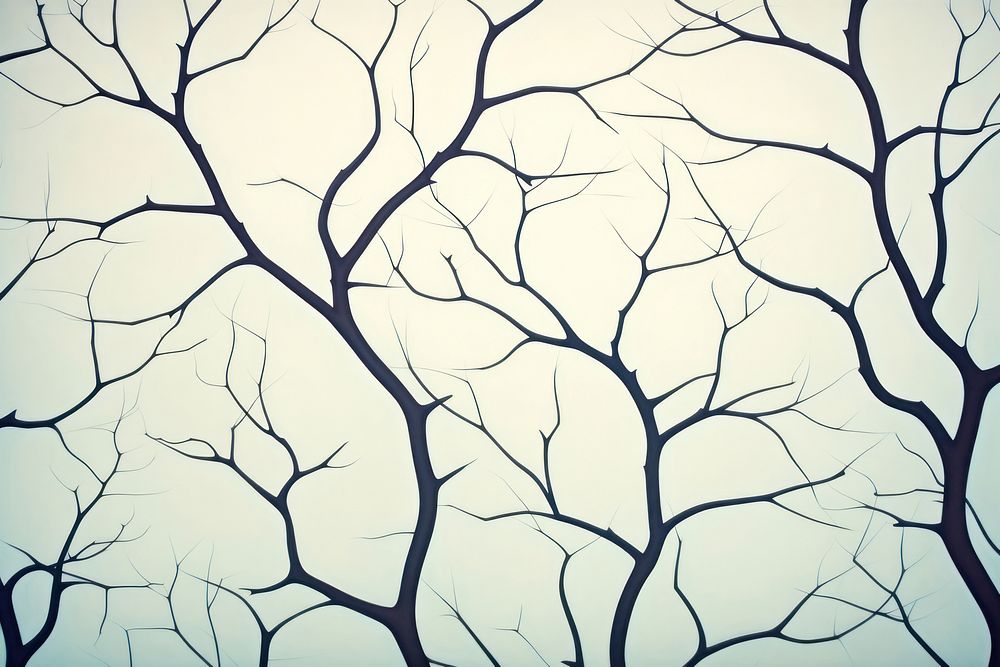 Branch abstract wallpaper pattern plant human.