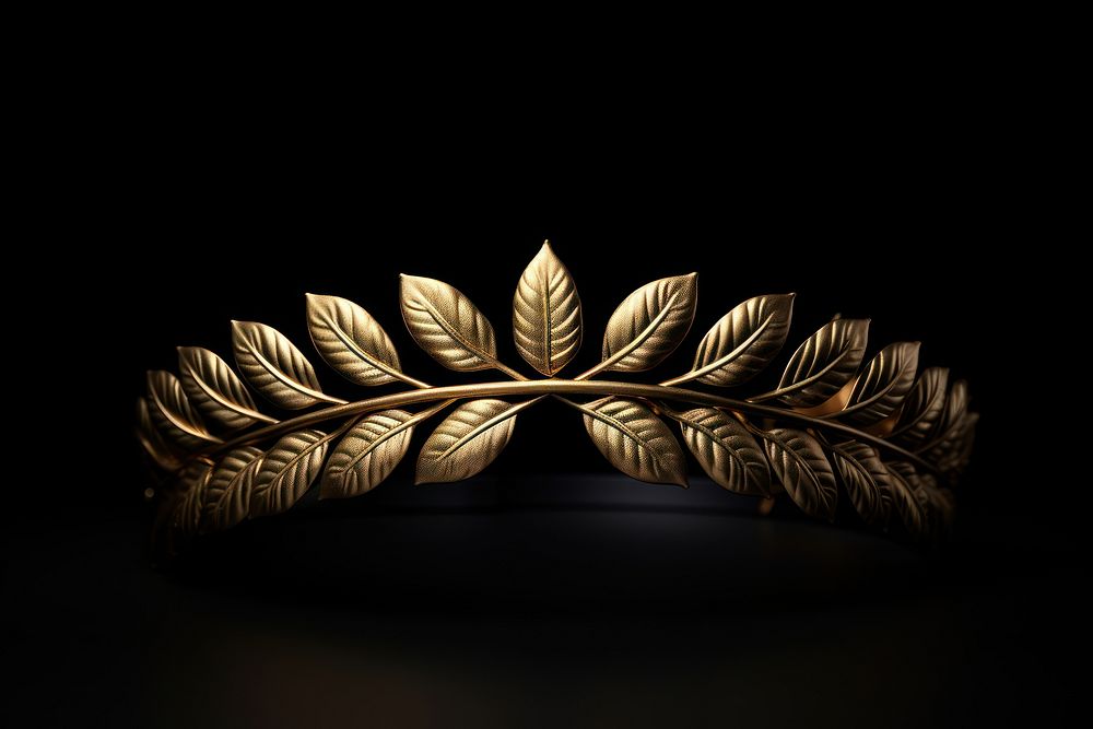 Laurel jewelry crown gold.