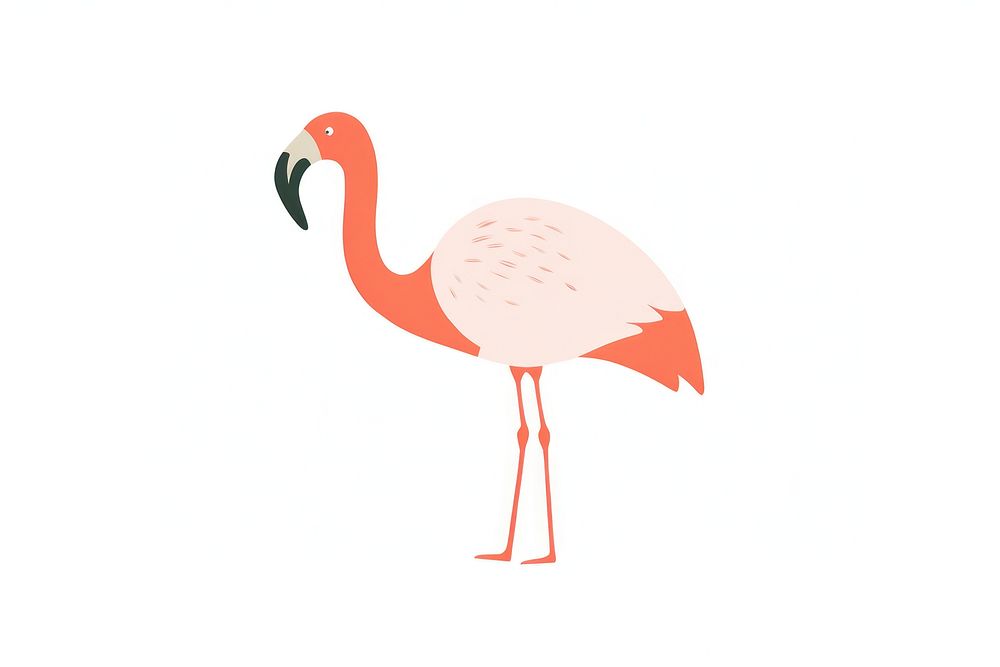 Safari Flamingo flamingo animal bird.