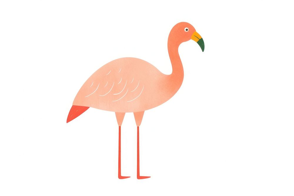 Safari Flamingo flamingo animal bird.