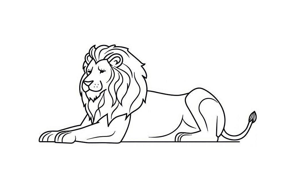 Lion drawing animal mammal.