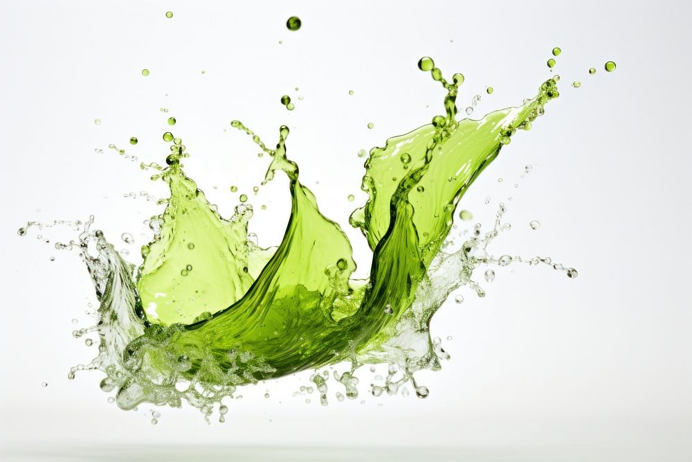 Splash effect of green tea white background refreshment splattered.