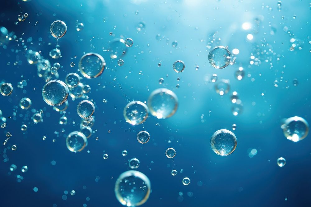 Group of bubbles backgrounds outdoors nature.