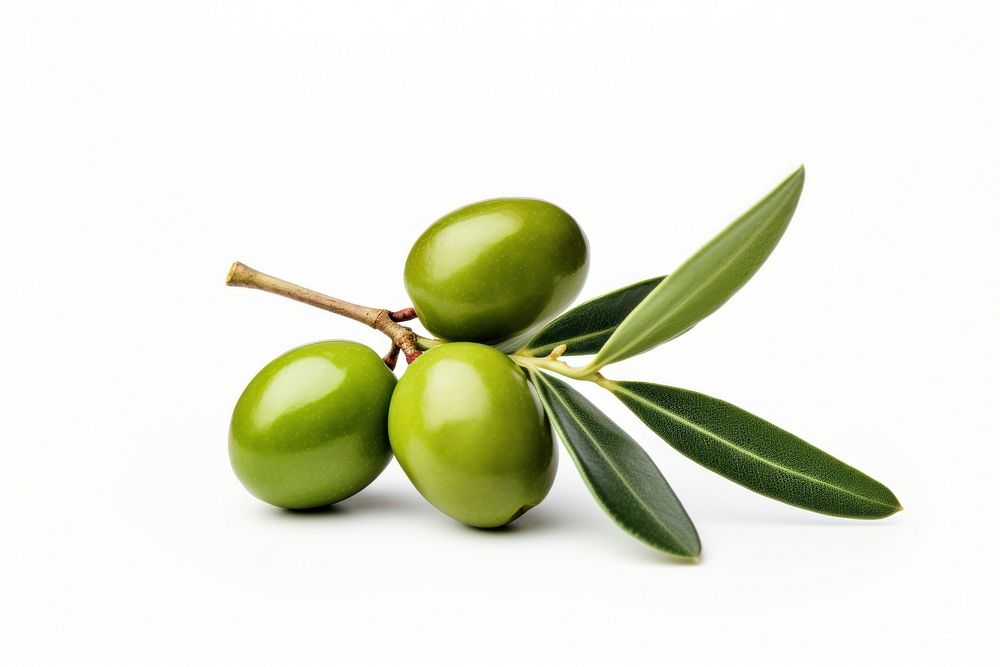 Olive fruit plant food.