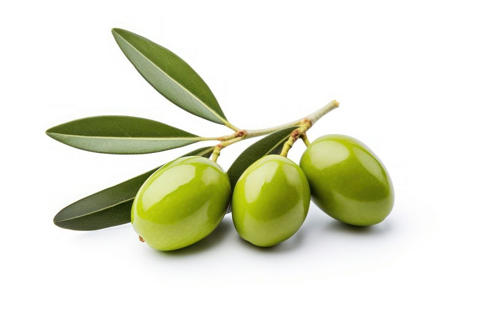 Olive plant food leaf.