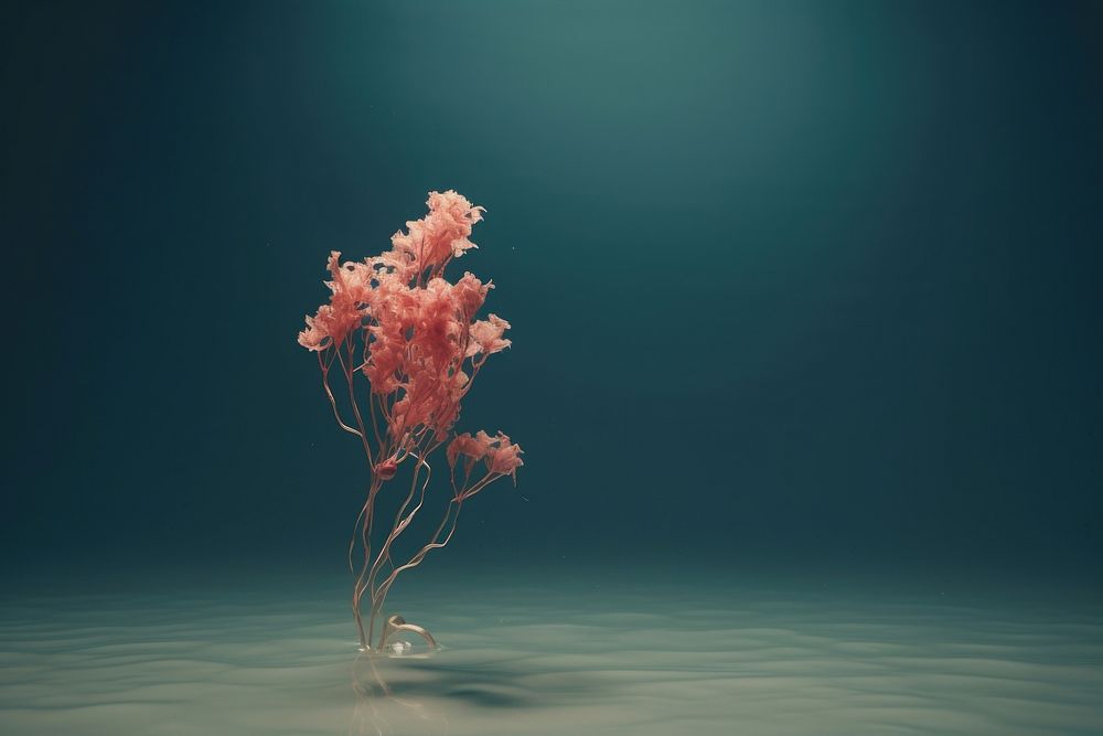 Nature underwater flower plant.