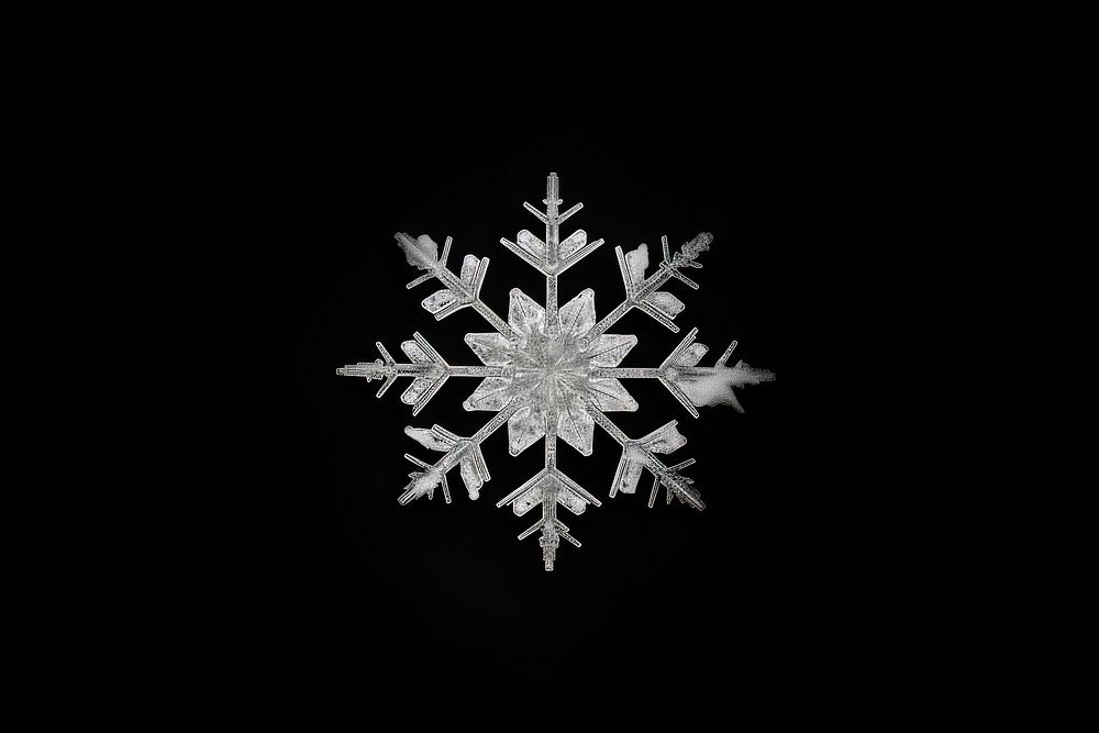 Snow flake snowflake black black background.