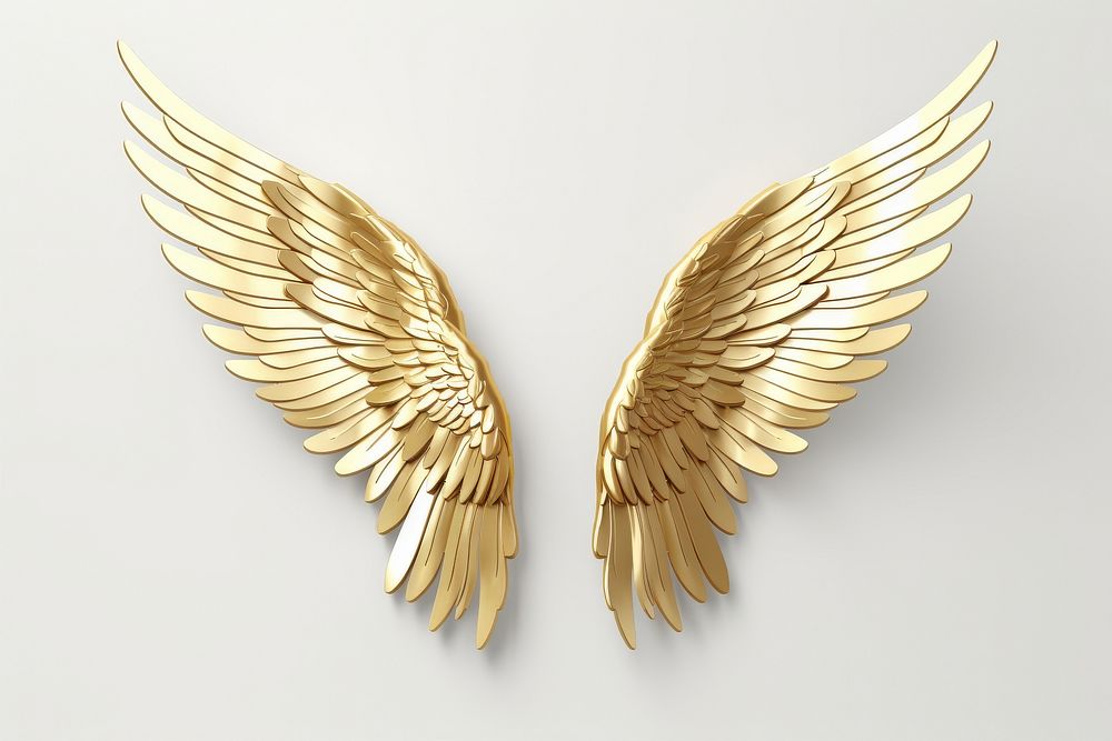 Angel gold wing accessories.