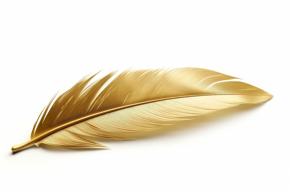 Feather gold material leaf white background lightweight.