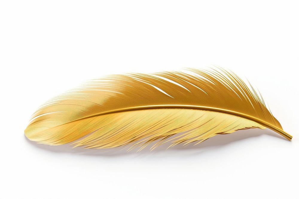 Feathers gold material white background lightweight accessories.