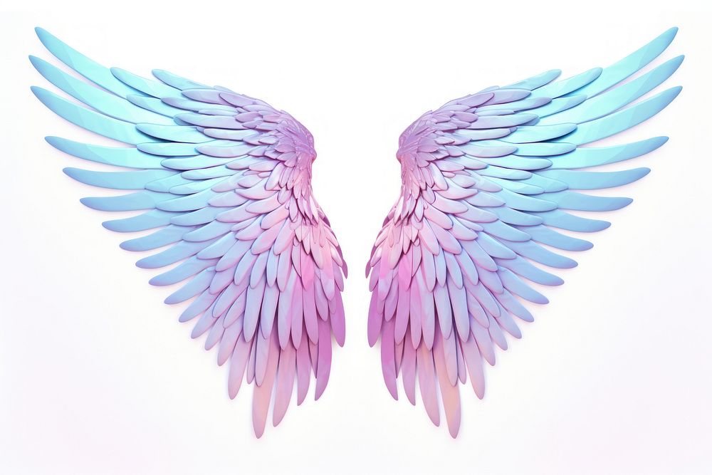 Angel wings iridescent bird white background creativity.