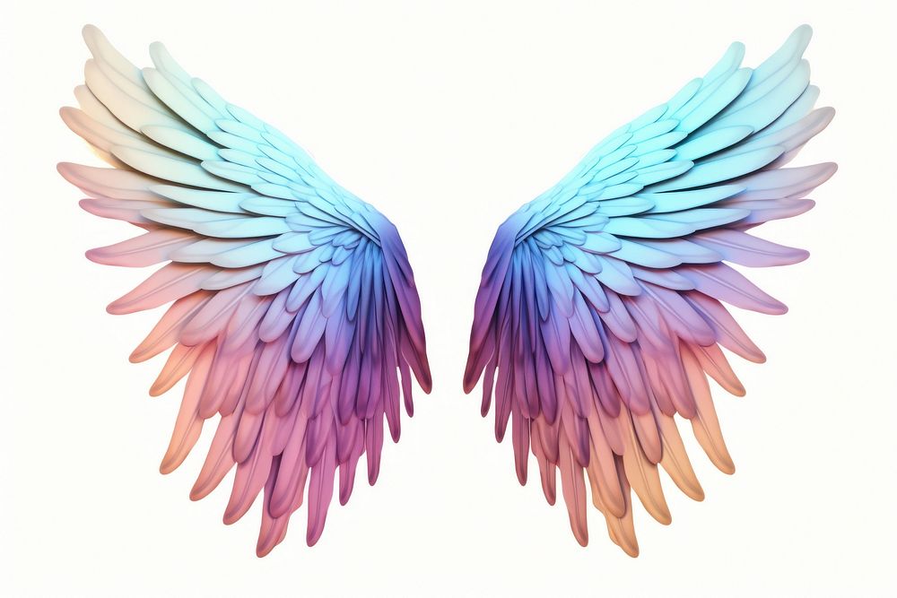 Bird wings iridescent white background lightweight creativity.